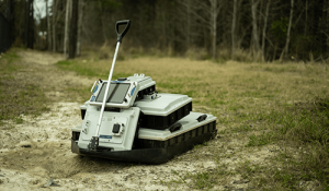 Mala-34-4-sizes-on-grass-2-300x175